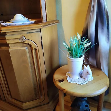 Waldblick Appartement